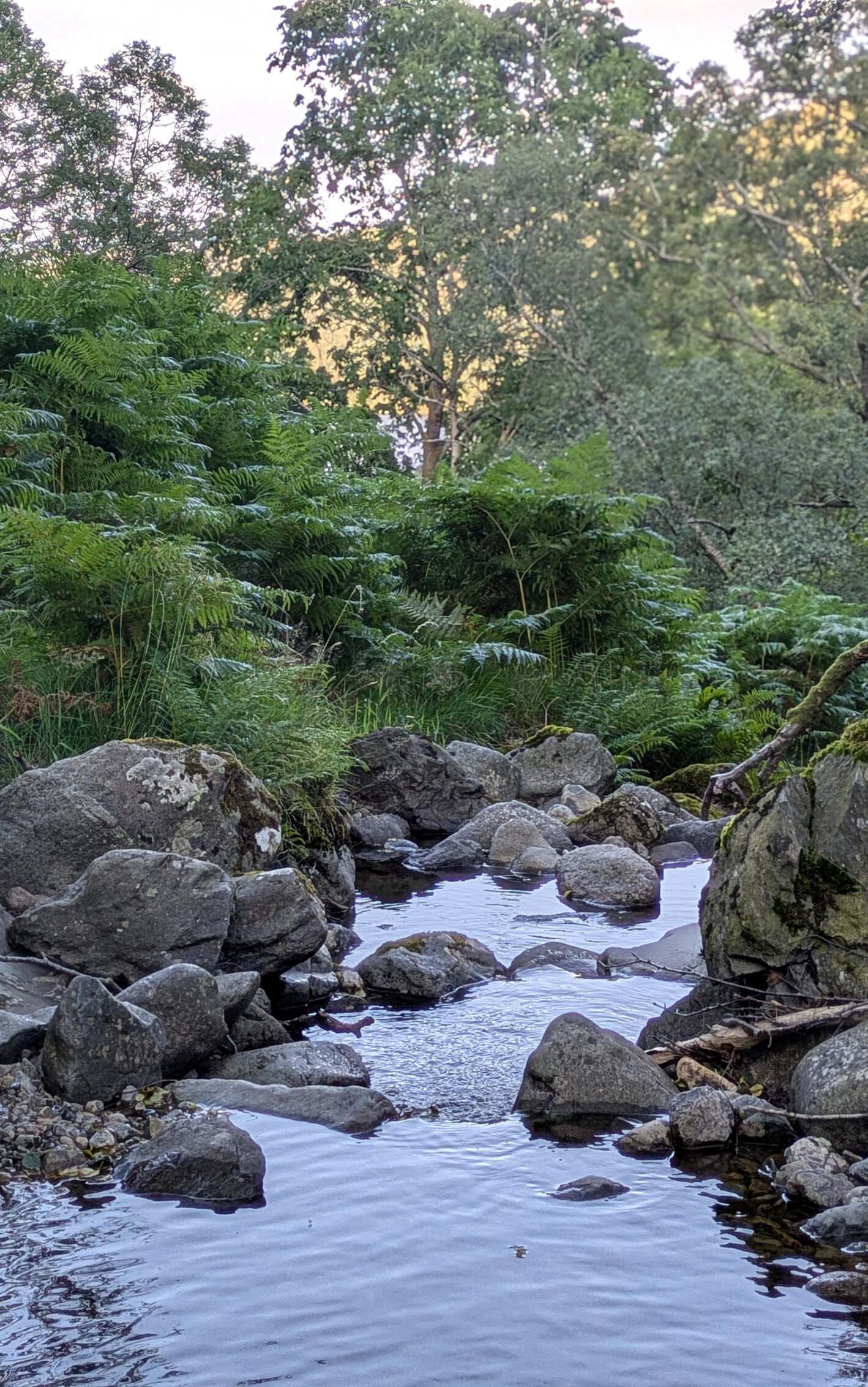 Glencoyne Beck, Ullswater Photograph of Glencoyne Beck, Ullswater, Lake District, showing rocks and a stream