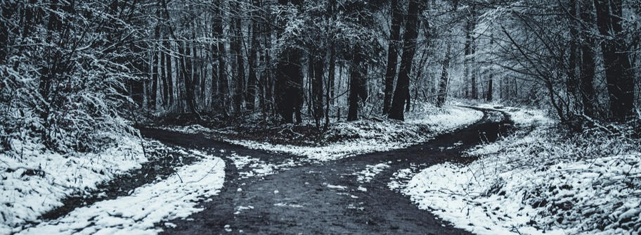 Dividing pathways Image of dividing pathways in a snowy forest